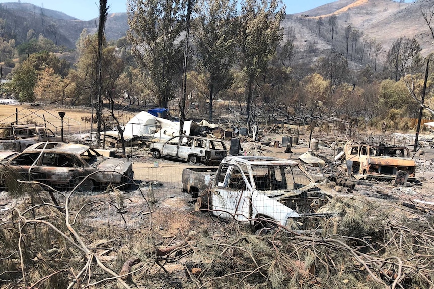 Burnt out cars and blackened forest.