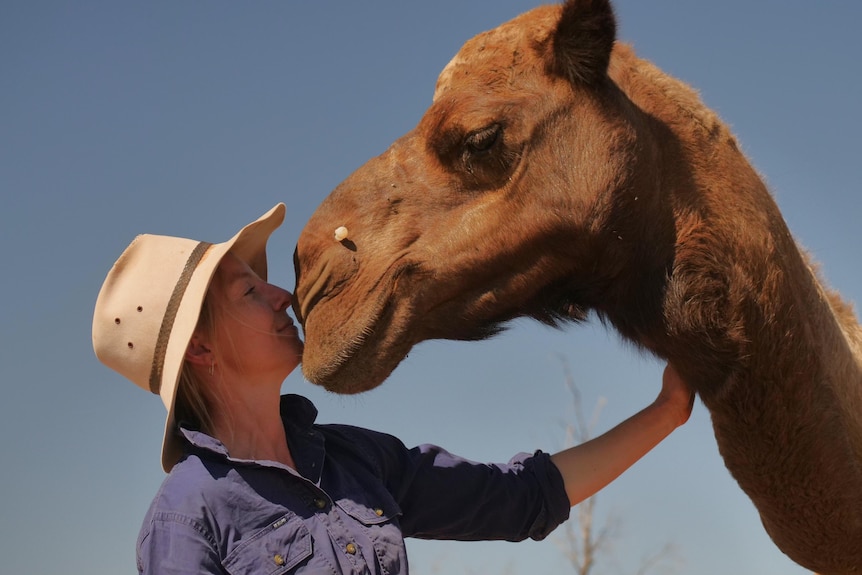 A woman in a blue collared shirt and Akubra hat nose to nose with a camel with eyes closed. 
