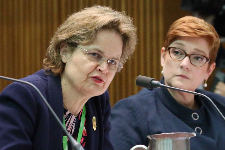 Ms Adamson is mid sentence and Senator Payne is watching her. A cameraman is in the background.