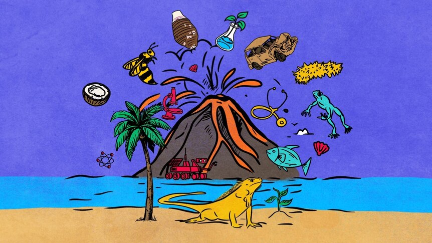 An illustration of a volcano, beach, palm tree and iguana, surrounded by a fish, coconut and science and medical equipment
