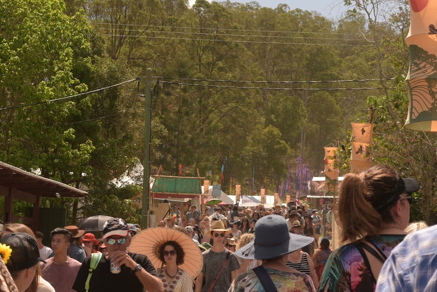 There was a record crowd at the 2016 Woodford Folk Festival.