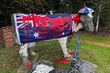 A statue of a cow covered in an Australian flag with red paint thrown over it