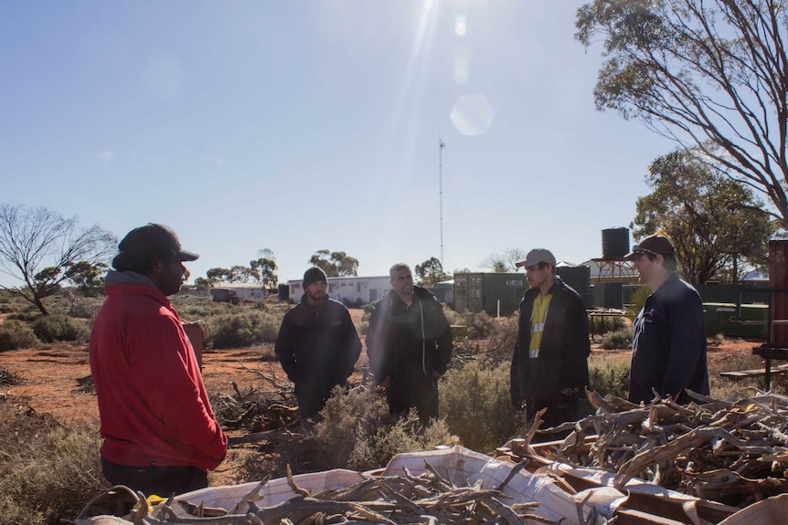 Five men stand behind a container full of sandalwood on Credo Station in the West Australian Goldfields.