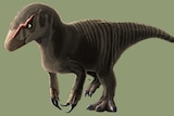 Illustration of dinosaur