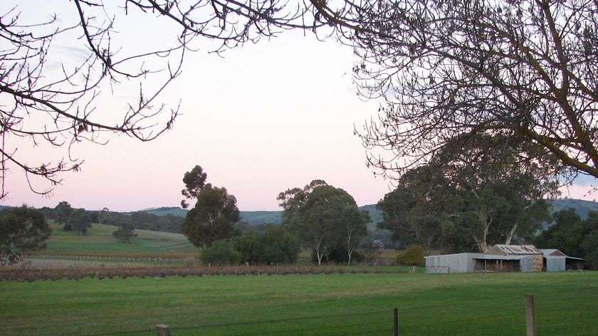 Barossa Valley: culture and history worth preserving, says the minister