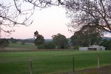Barossa Valley: culture and history worth preserving, says the minister