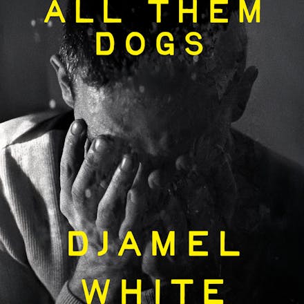 Miles Franklin winner Omar Musa + Booker-longlisted All Them Dogs and Téa Obreht's Sunrise
