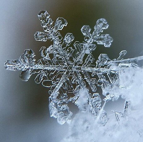 A snowflake.