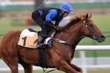 Sepoy on training track in Dubai