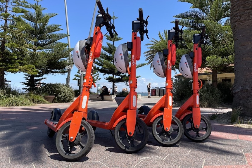 Orange scooters parked on a footpath in front of a bayside view.