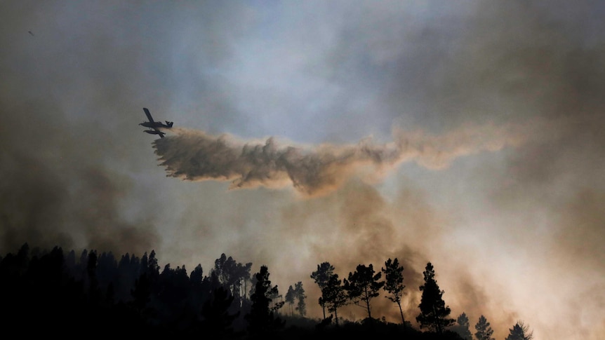 Plane releases water in the sky over a smoke forest landscape