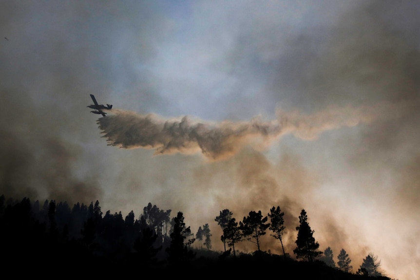 Plane releases water in the sky over a smoke forest landscape