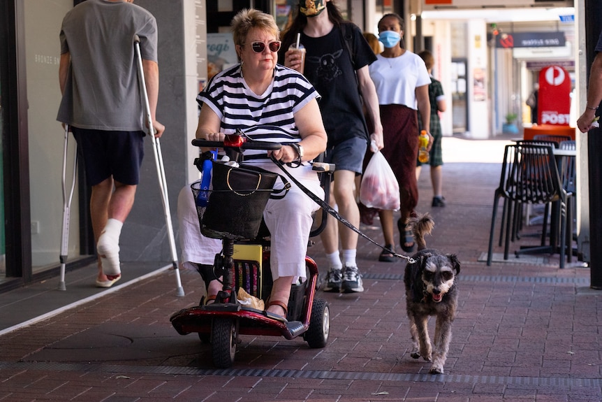 A middle-aged woman wearing a stripey top in an electric wheelchair with a small dog with a lead