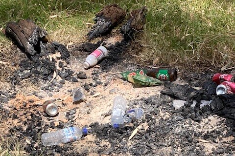 A rubbish-strewn, extinguished campfire with half-burnt wood and burnt grass.