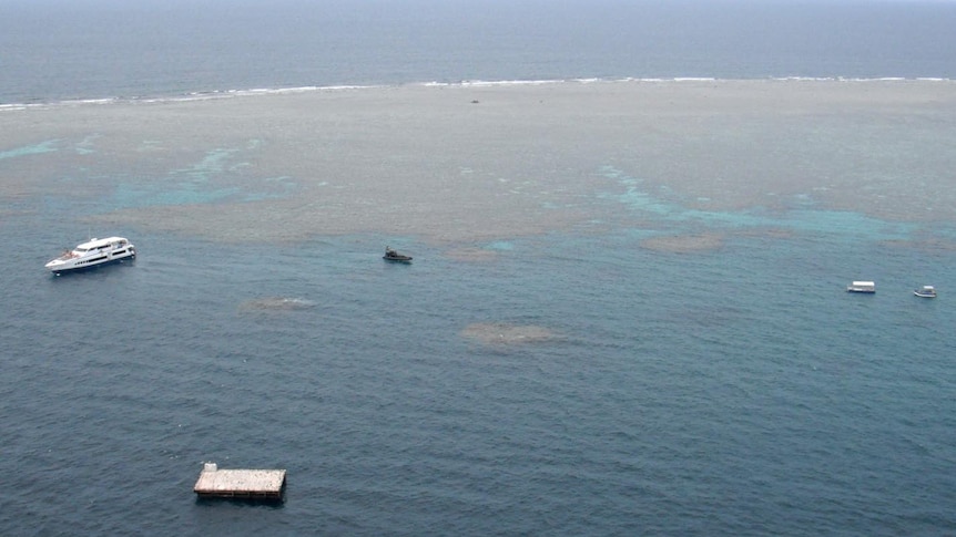 The search area at Hastings Reef on the Great Barrier Reef.