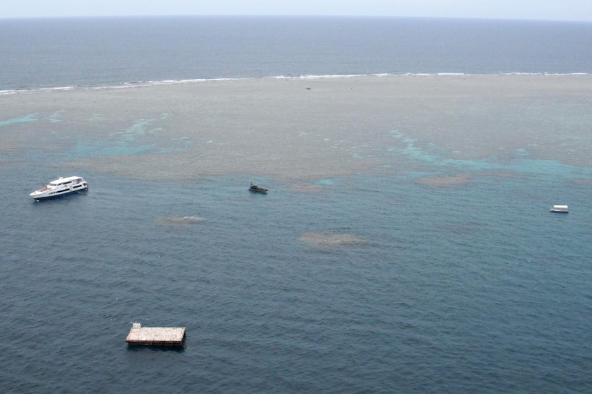 The search area at Hastings Reef on the Great Barrier Reef.