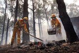 CFA warns of fire danger this weekend