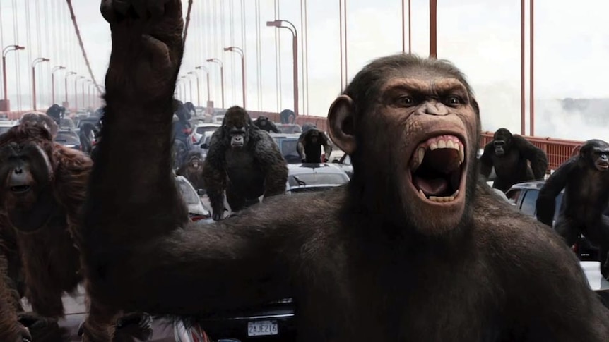 Scene from Rise of the Planet of the Apes