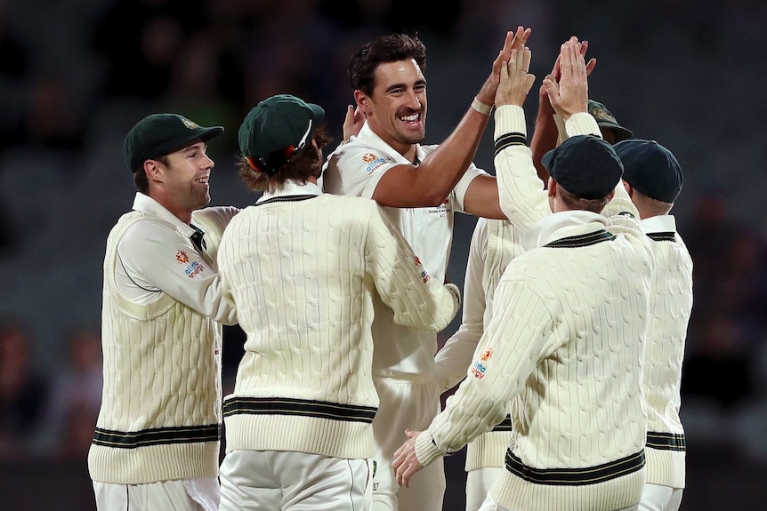 Mitchell Starc celebrates another wicket with some high fives