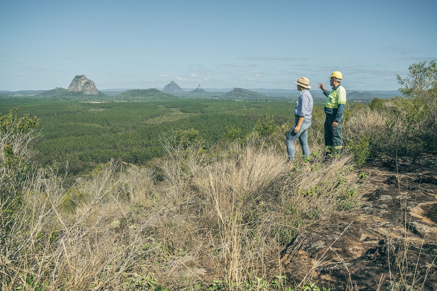 A man and a woman look out from a hill over pine plantations to the Glass House Mountains.
