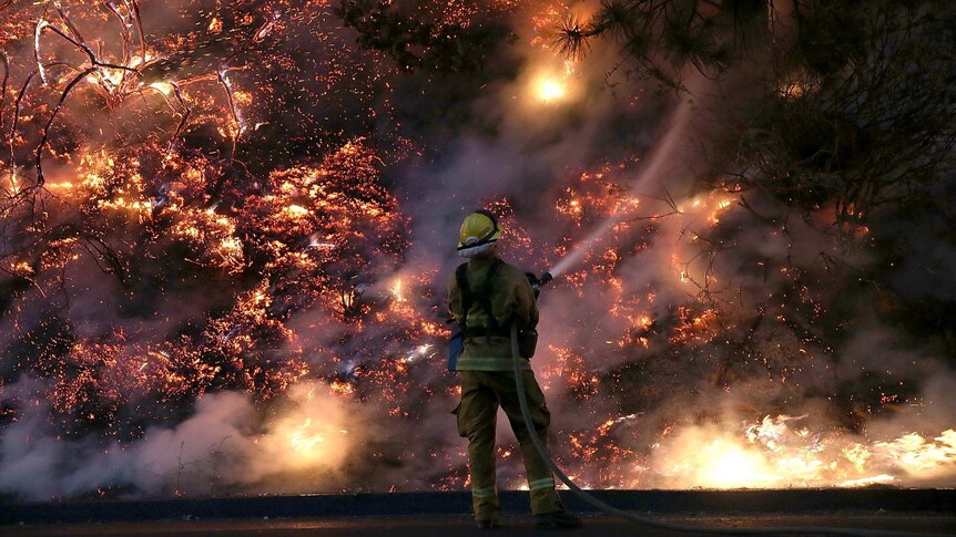 A firefighter battles flames that are part of the Rim fire