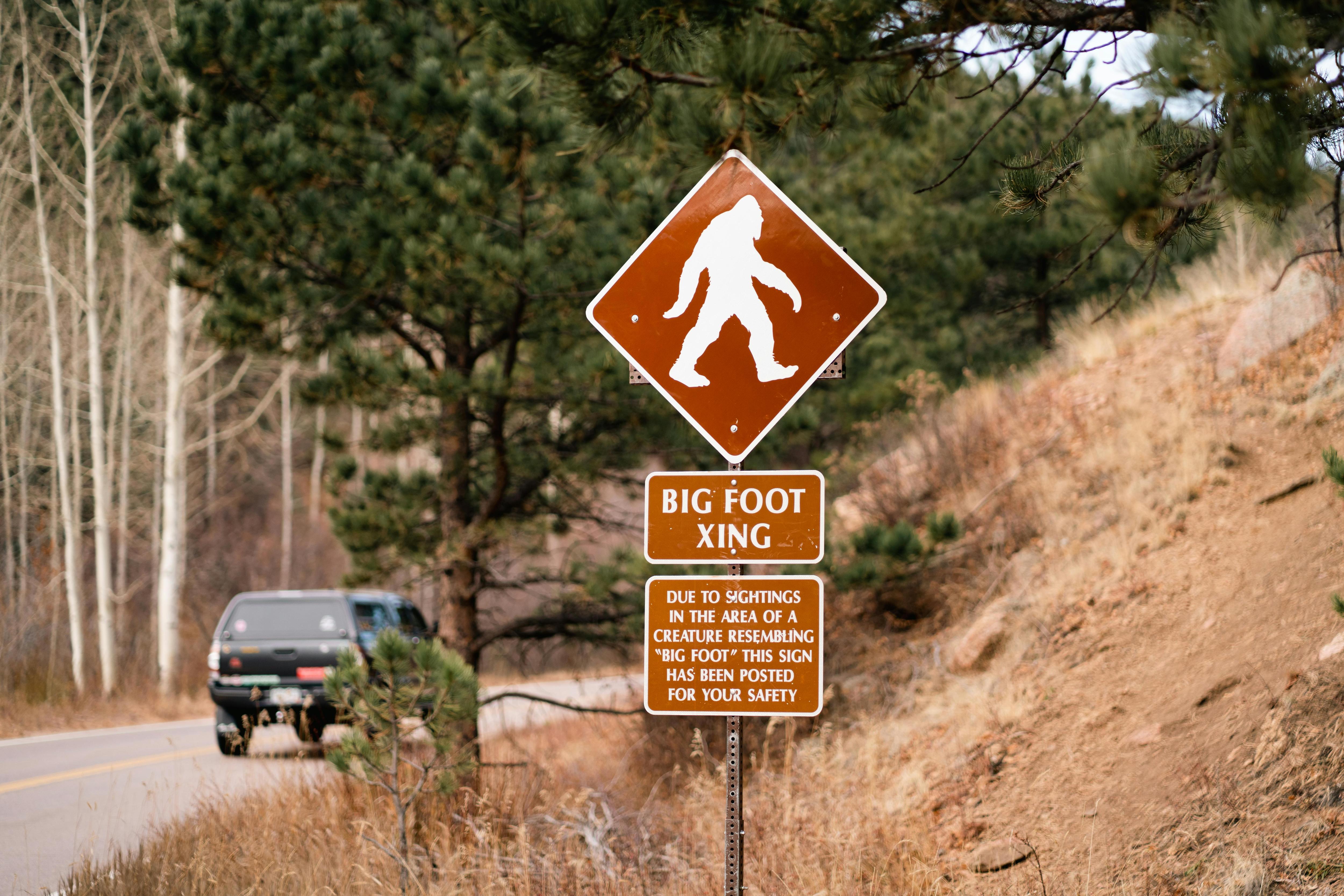 Catching the Bigfoot Hunters
