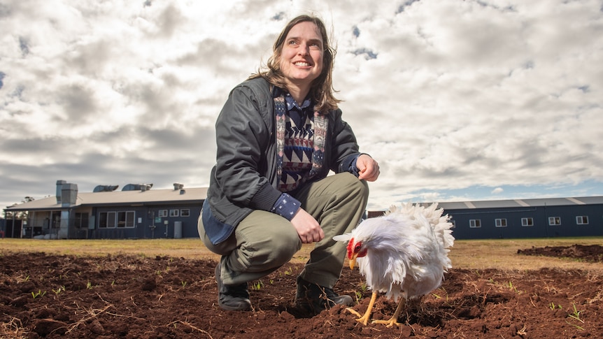 A woman crouched down next to a chicken outside a large shed.