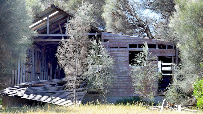 A shed with missing wooden slats.