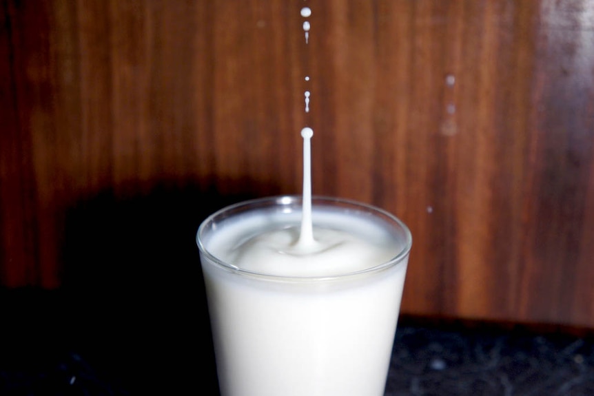 Dairy farmer raided for supplying raw milk