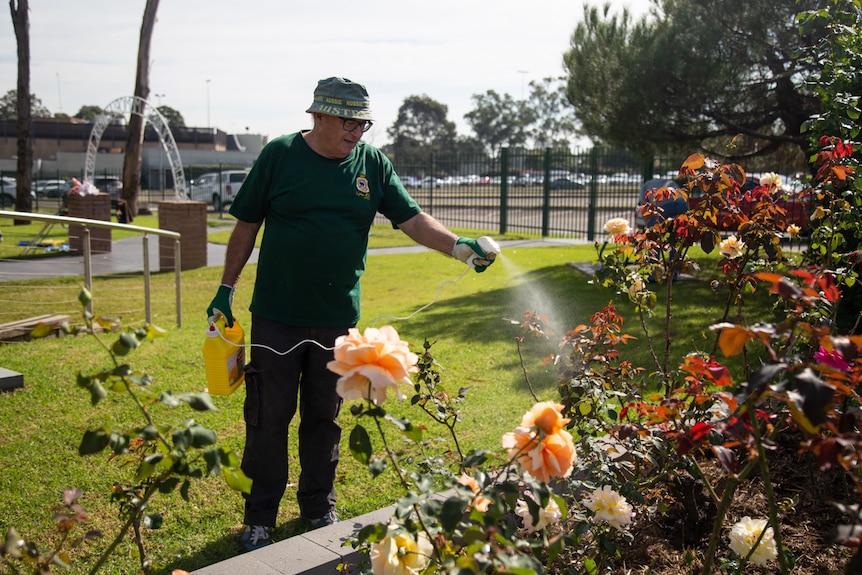 a an holding a hose with spraying out of it onto a bed of flowers