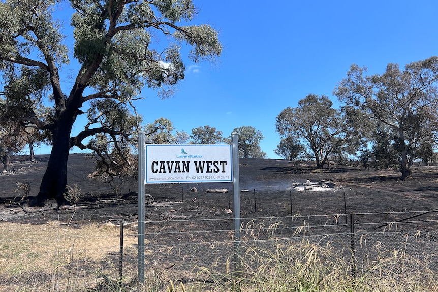 A sign saying Cavan West surrounded by blackened grass. 