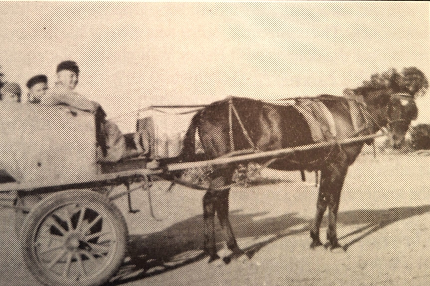 Black and White image of three children in cart being towed by horse
