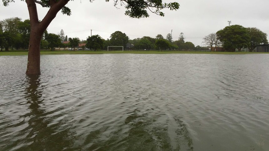 Newcastle's National Park inundated with flood water