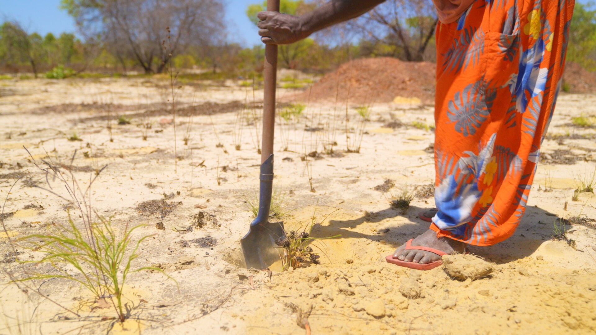 Thumbnail image for video.