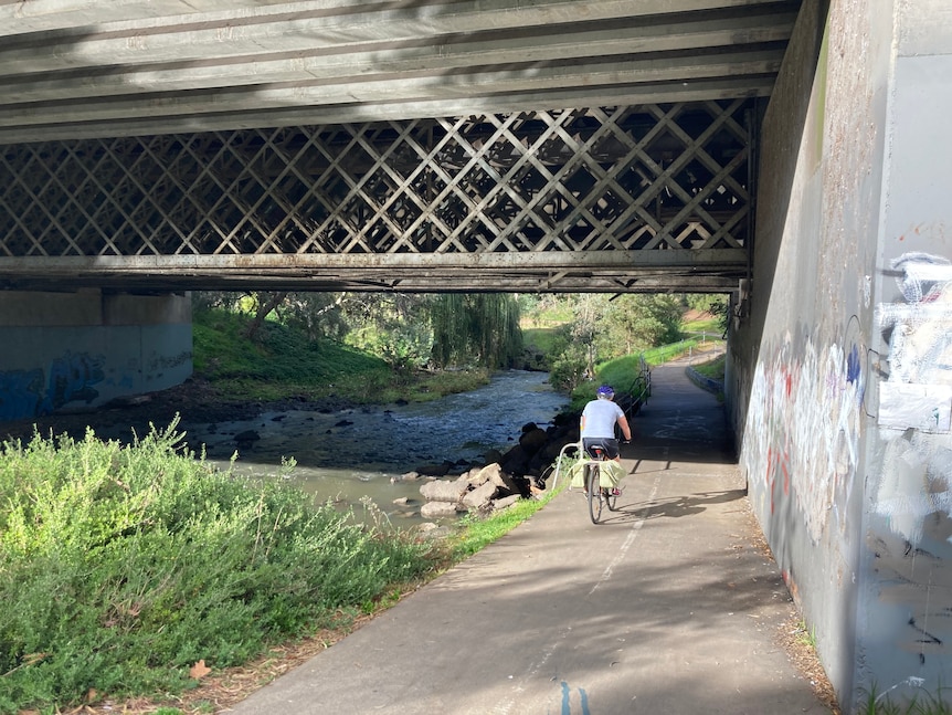 A cyclist rides through an underpass next to a creek.