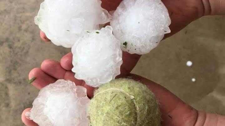 A person holds hail and a tennis ball