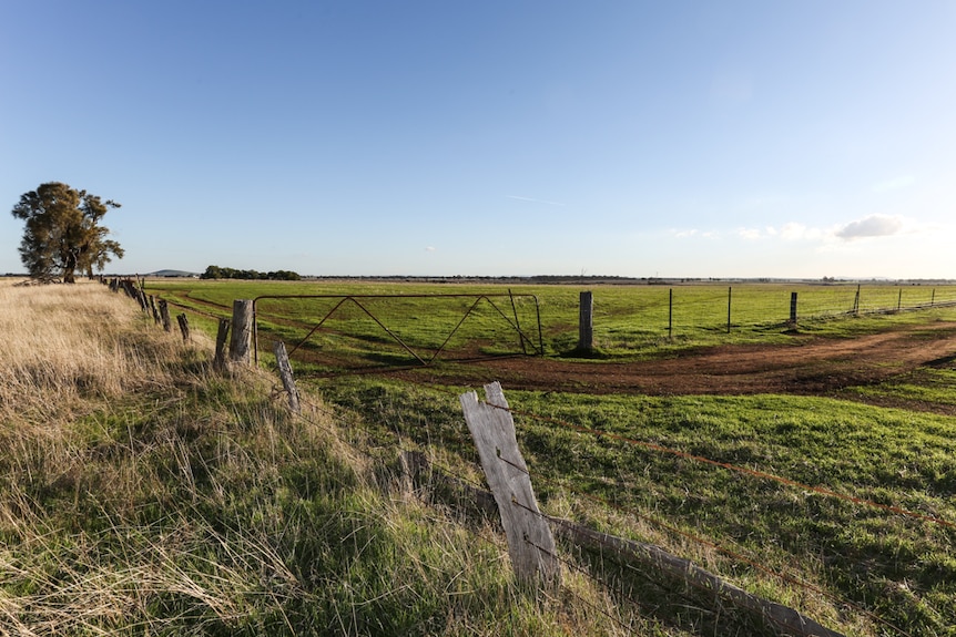 looking over two old farming fences and a gate towards green pasture