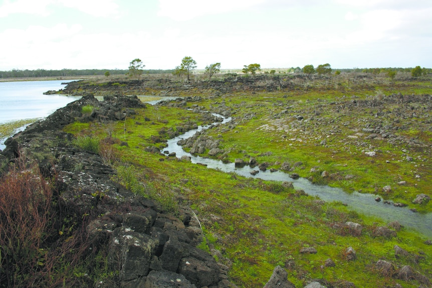 A small stream leading into a lake.