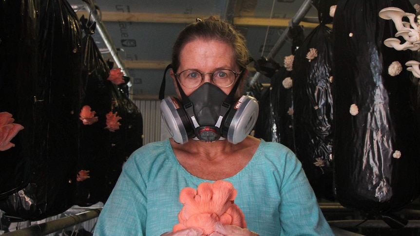 Female holds a pink mushroom with both hands, her face in the background with an air filter mask on.