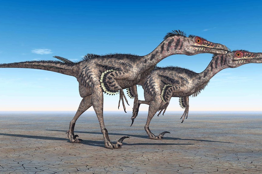 An illustration of two small, upright, feathered dinosaurs running on dry and cracked earth.