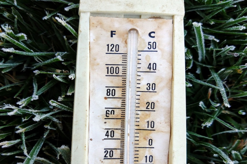 Freezing Temperature Gauge