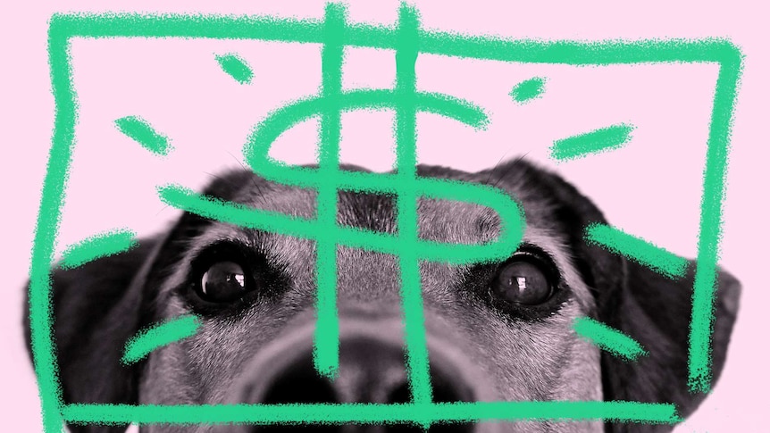 A dog's head with an illustrated dollar sign.