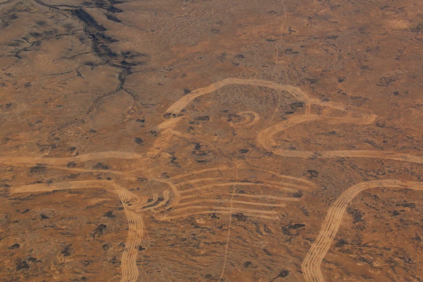 The Marree Man from the air