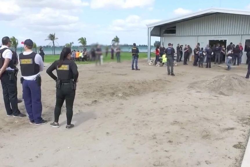 Australian Border Force officials questions workers at a strawberry farm