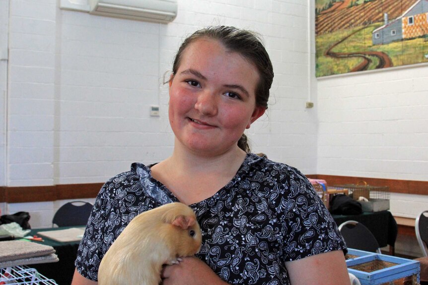 Young girl holding a cream coloured guinea pig