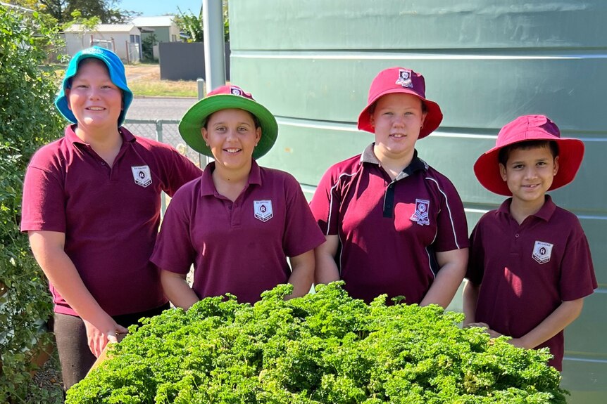 Four students stand smiling behind a flourishing green garden bed with herbs like parsley ready to harvest. 