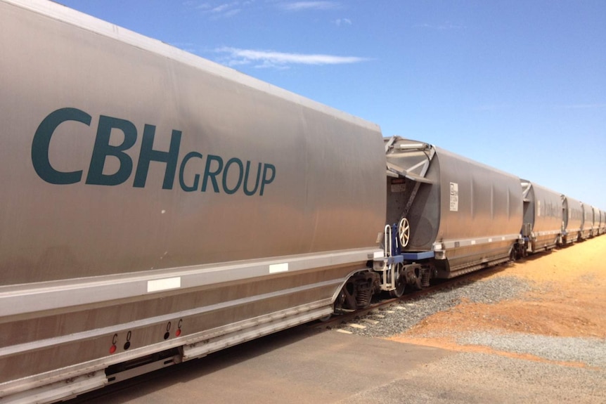 A level road crossing in WA's wheatbelt with seven CBH grain rolling stock carriages on a fine day