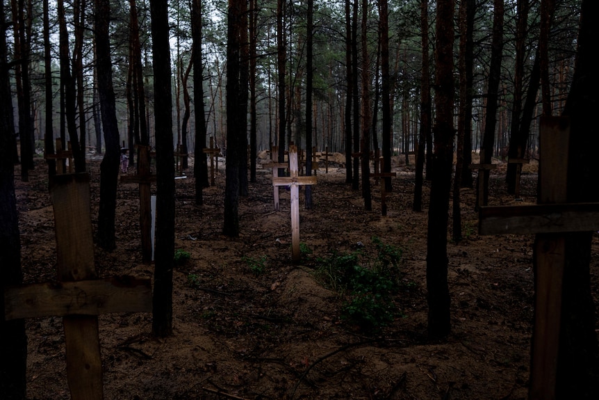 Crosses are seen between trees in an isolated area.