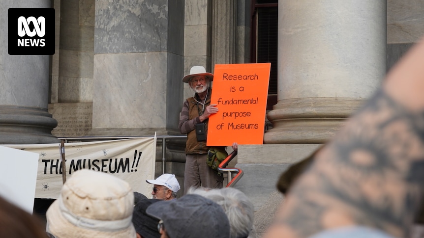 Critics say ‘reimagining’ of SA Museum may devastate research capacity and cut jobs