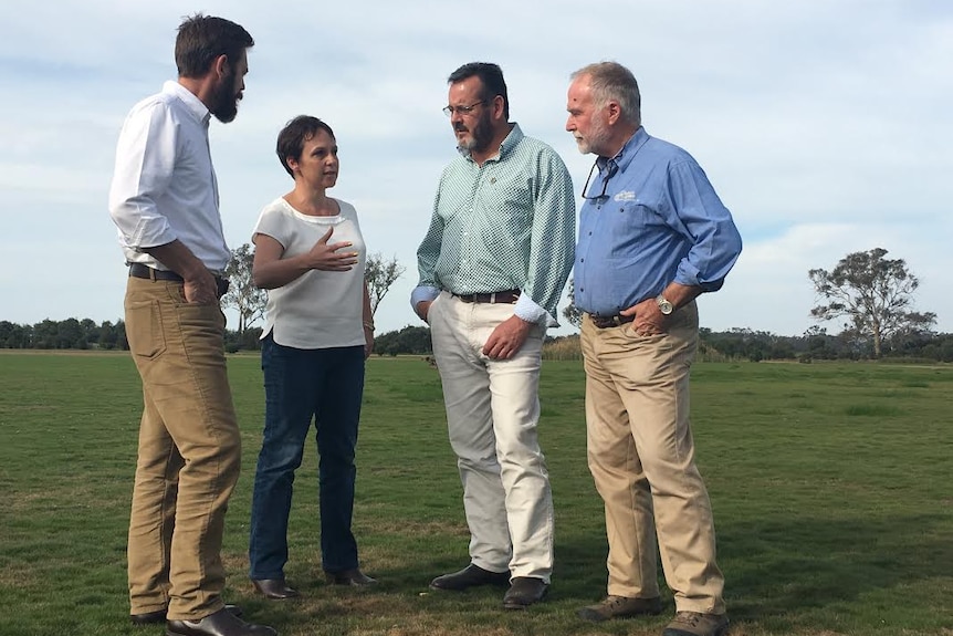 A group of people stand on a green field, talking.